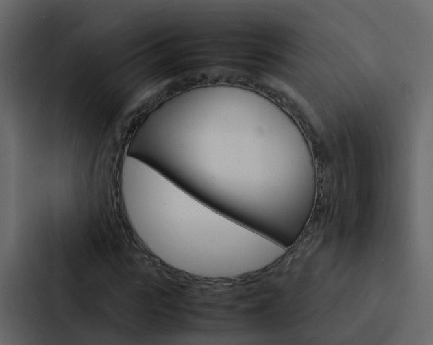 X0000088130919200705140954