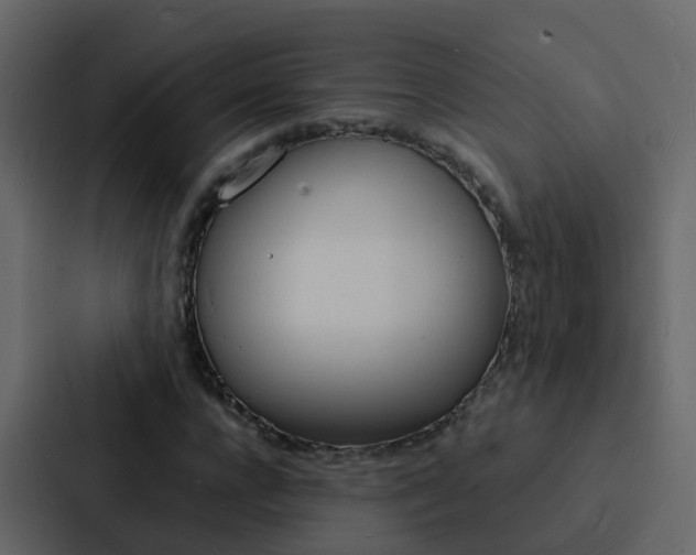 X0000088130920200705140954