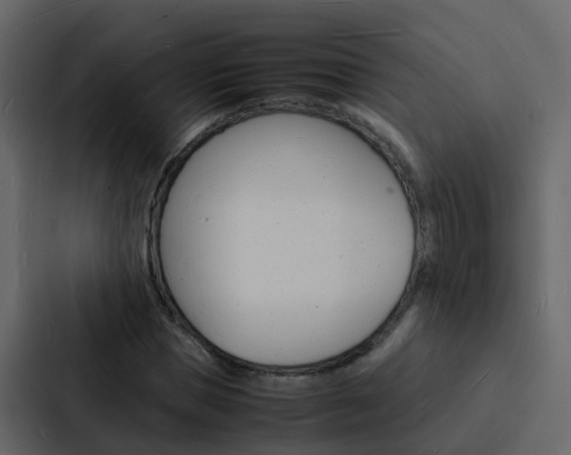 X0000088130921200705140954