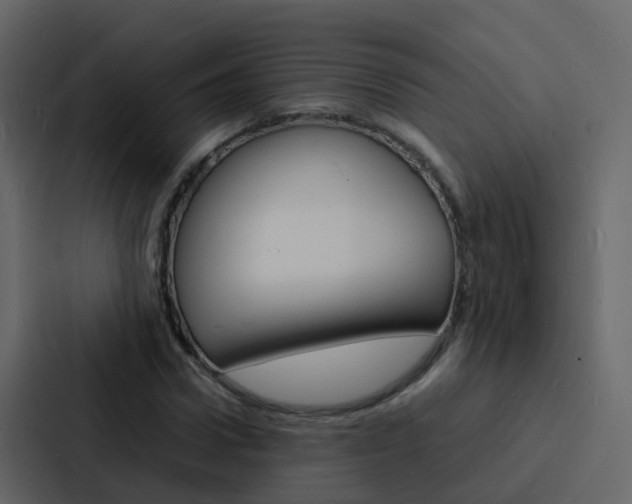 X0000088130922200705140954