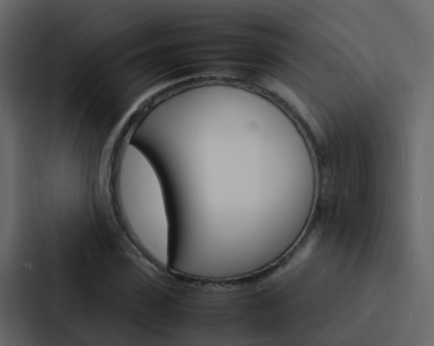 X0000088130923200705140954