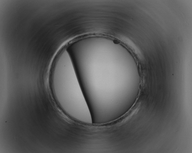 X0000088130924200705140954