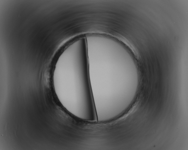 X0000088130926200705140954