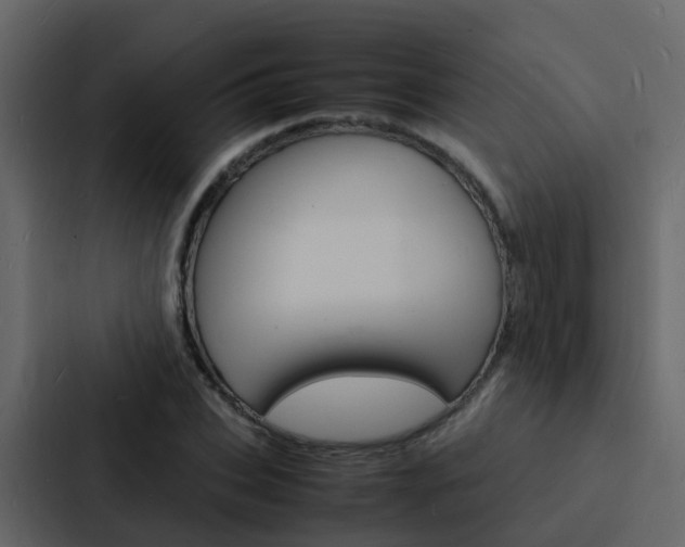 X0000088130927200705140954