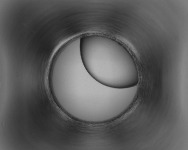 X0000088130928200705140954