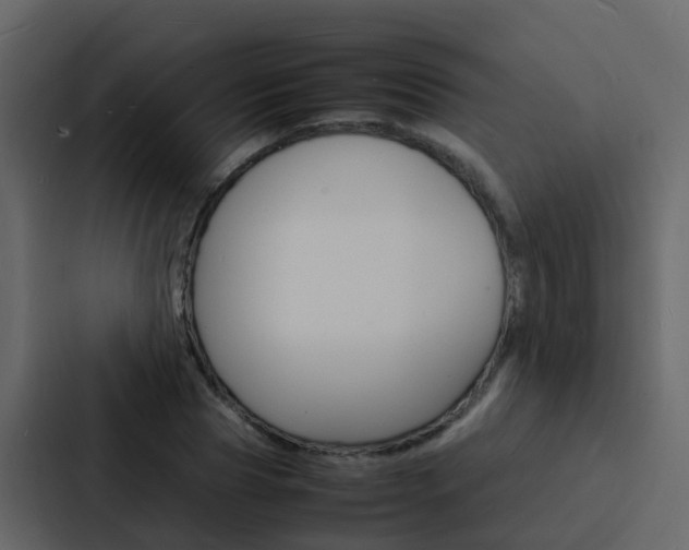 X0000088130929200705140954