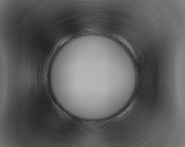 X0000088130930200705140954