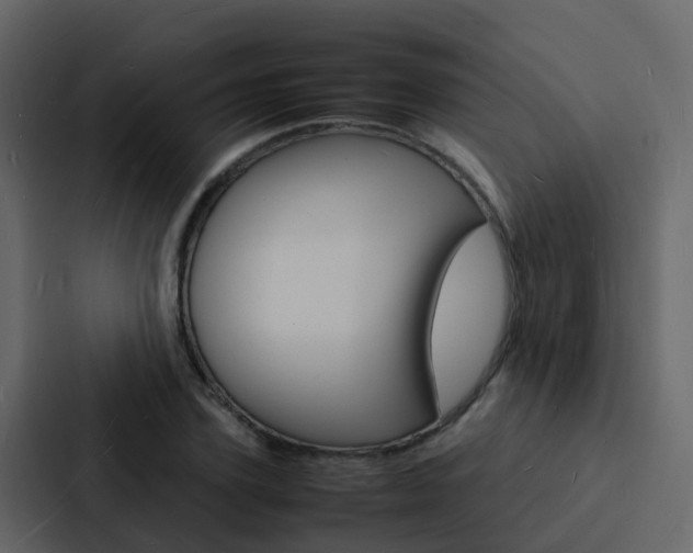 X0000088130931200705140954