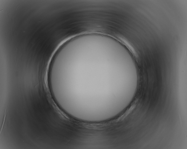 X0000088130932200705140954