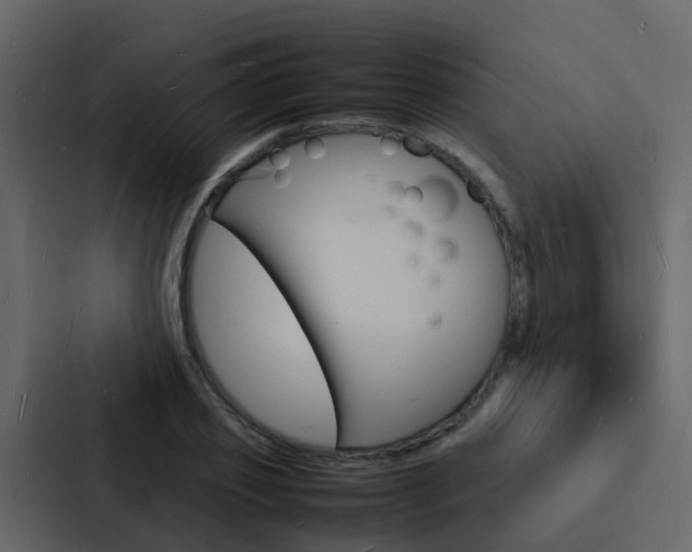 X0000088130933200705140954