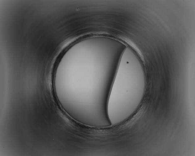 X0000088130935200705140954