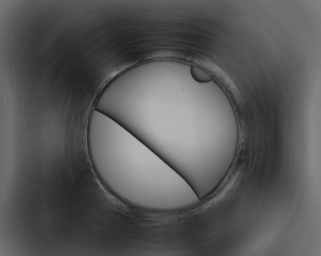 X0000088130937200705140954