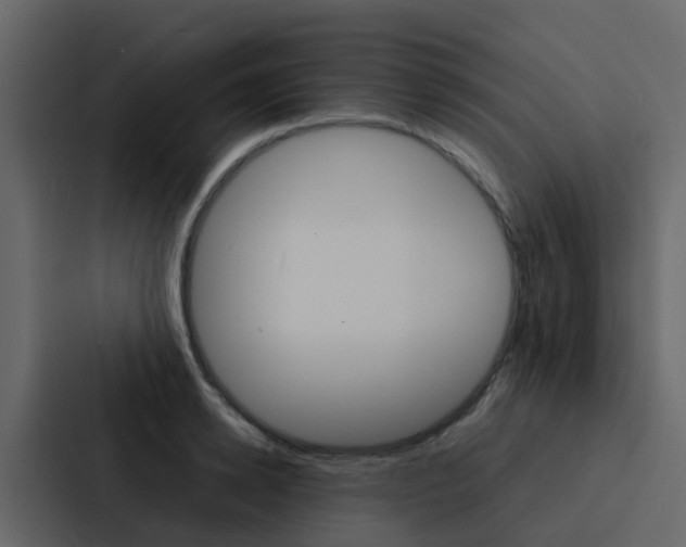 X0000088130942200705140954