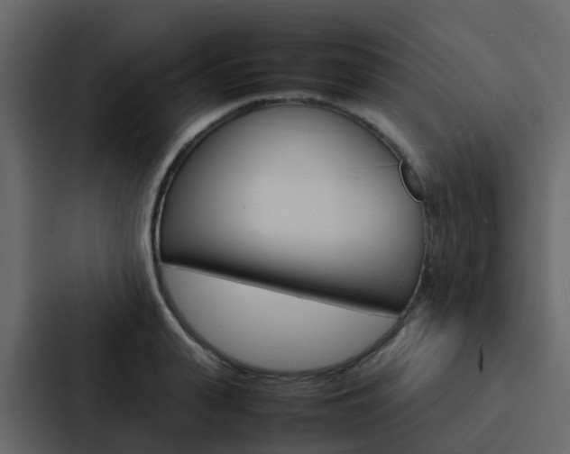 X0000088130943200705140954