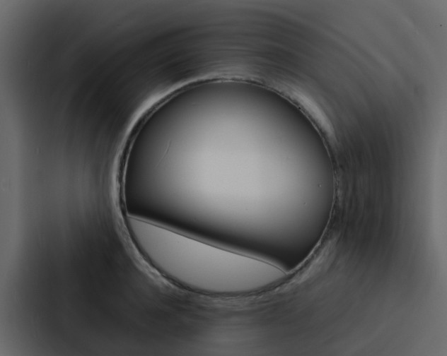 X0000088130944200705140954