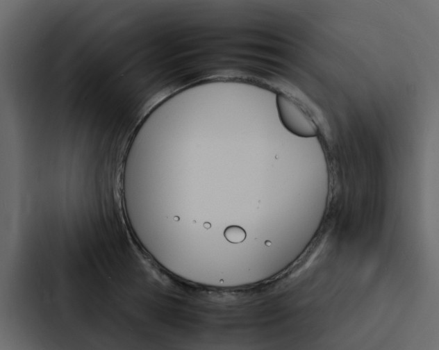 X0000088130945200705140954