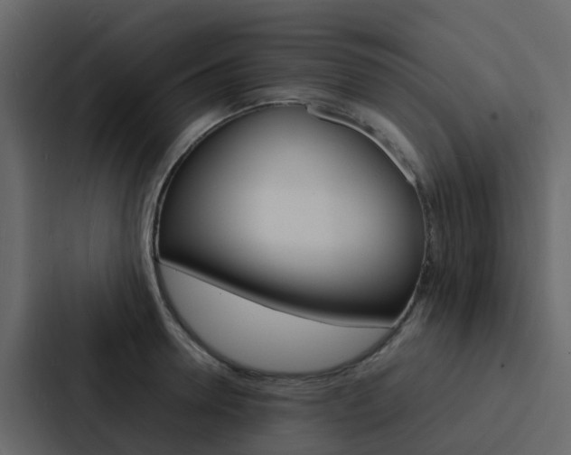 X0000088130946200705140954