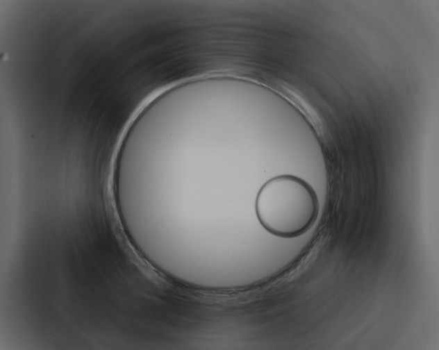 X0000088130948200705140954