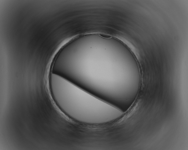 X0000088130949200705140954