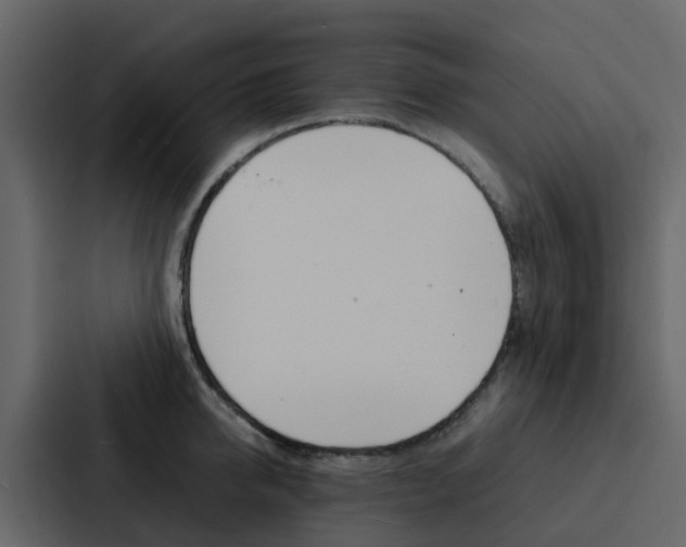 X0000088130950200705140954