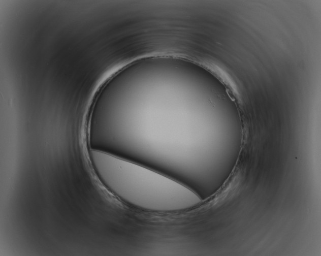 X0000088130952200705140954