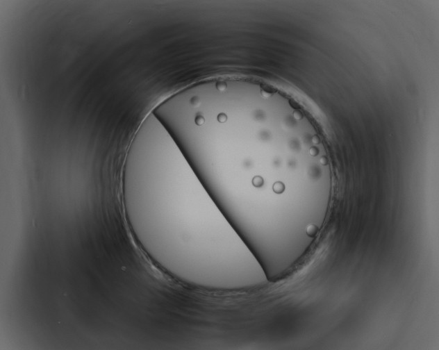 X0000088130953200705140954