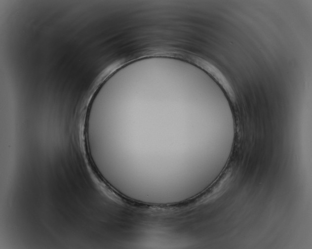 X0000088130954200705140954