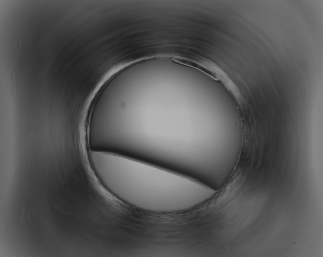 X0000088130955200705140954
