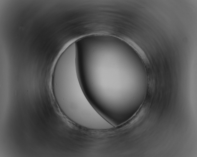 X0000088130956200705140954