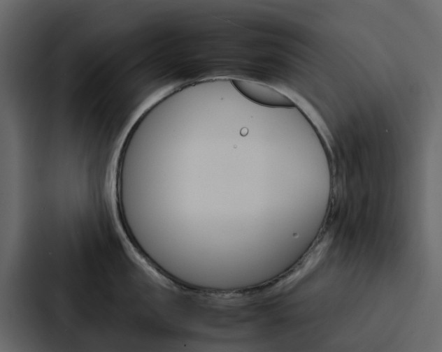 X0000088130957200705140954
