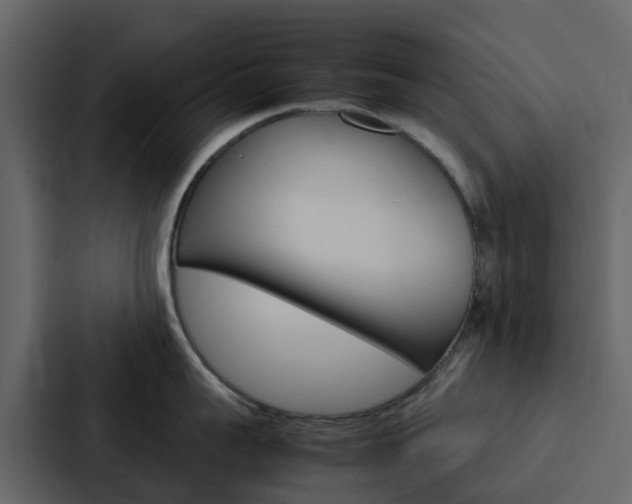 X0000088130959200705140954