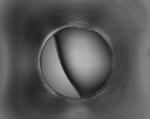 X0000088130960200705140954