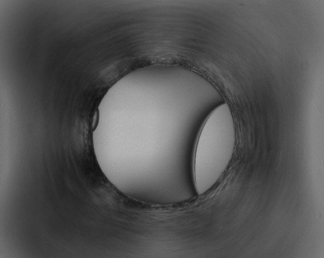 X0000088130964200705140954
