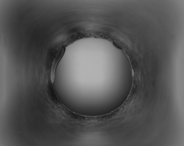 X0000088130965200705140954