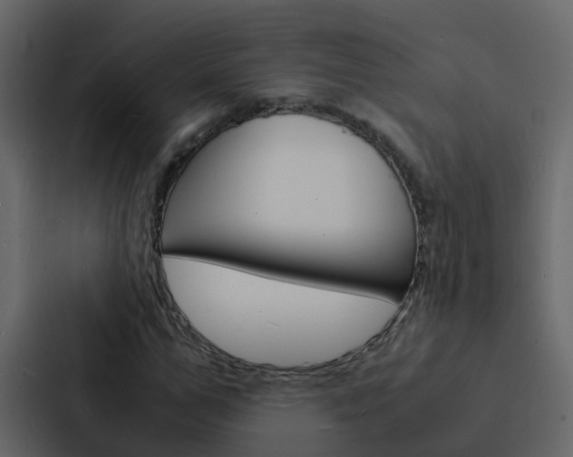 X0000088130967200705140954