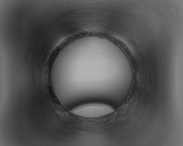 X0000088130968200705140954