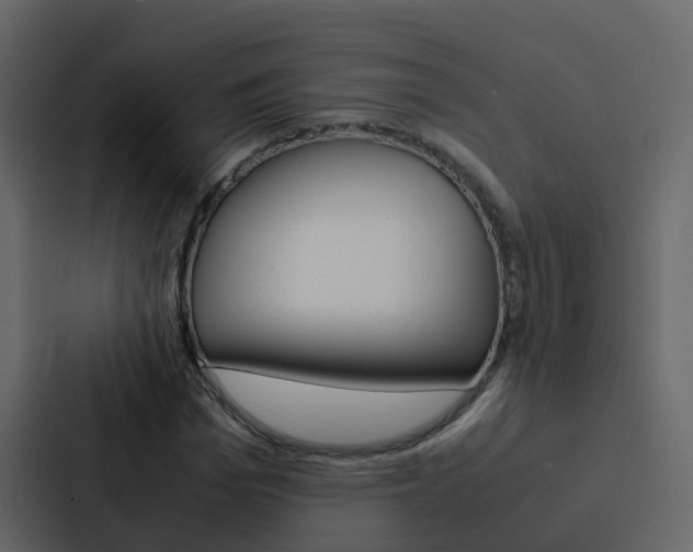 X0000088130969200705140954