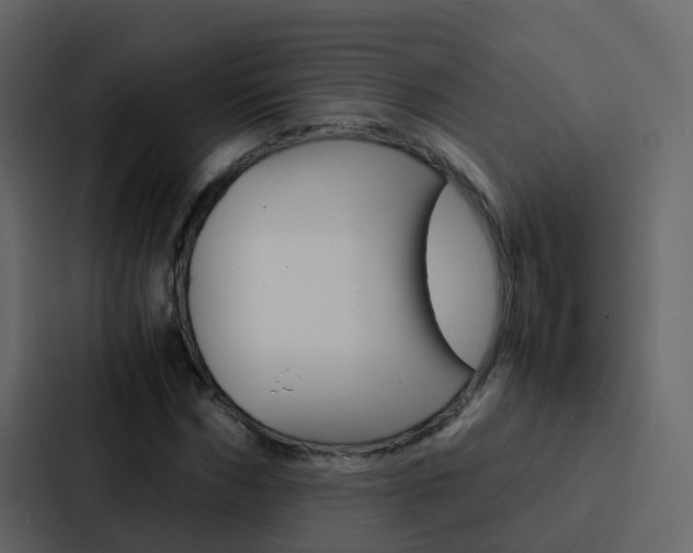X0000088130970200705140954