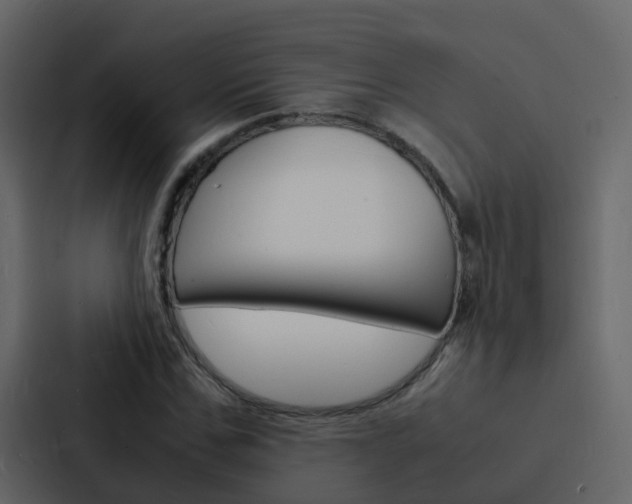 X0000088130971200705140954