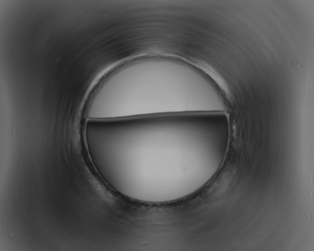 X0000088130972200705140954