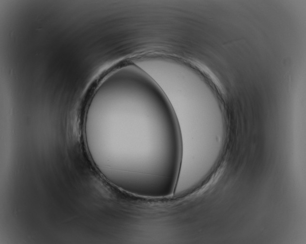 X0000088130973200705140954