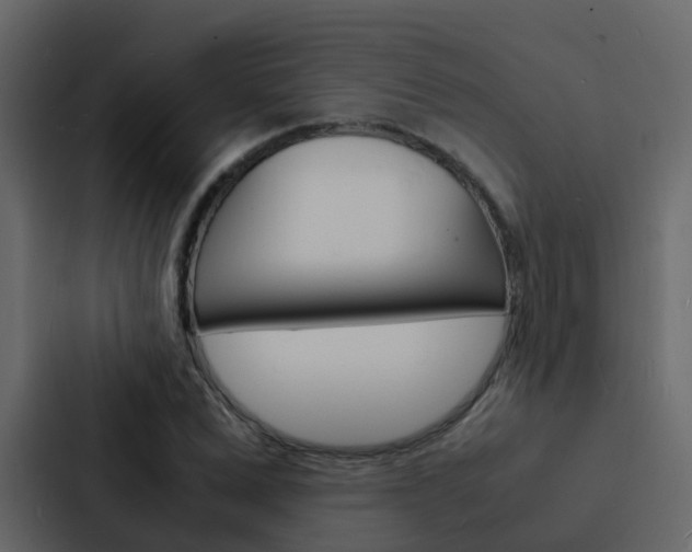 X0000088130975200705140954