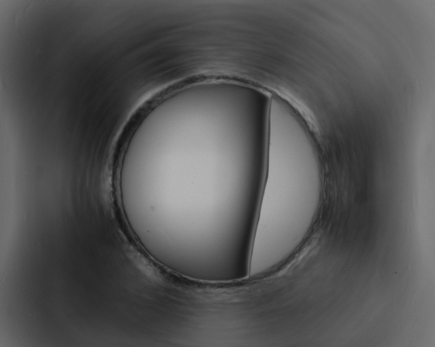 X0000088130976200705140954