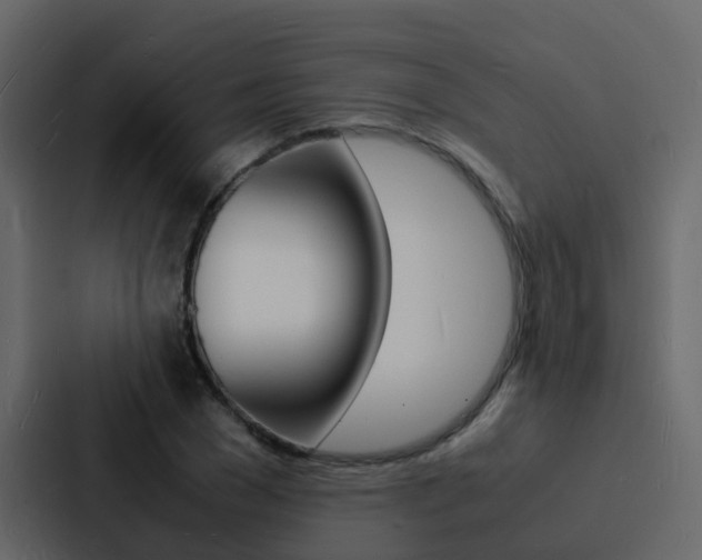 X0000088130977200705140954