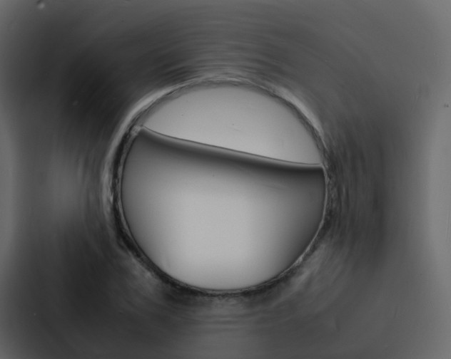 X0000088130979200705140954