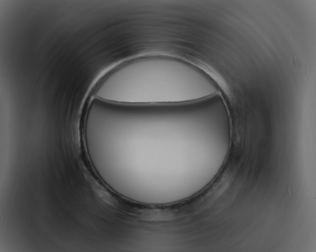 X0000088130980200705140954