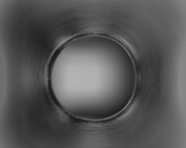 X0000088130981200705140954