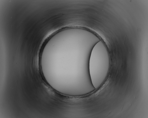 X0000088130982200705140954