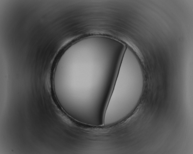 X0000088130984200705140954