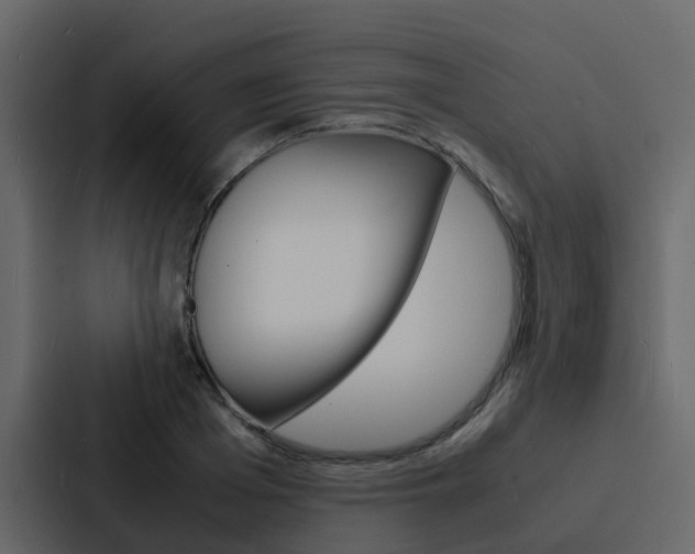 X0000088130985200705140954